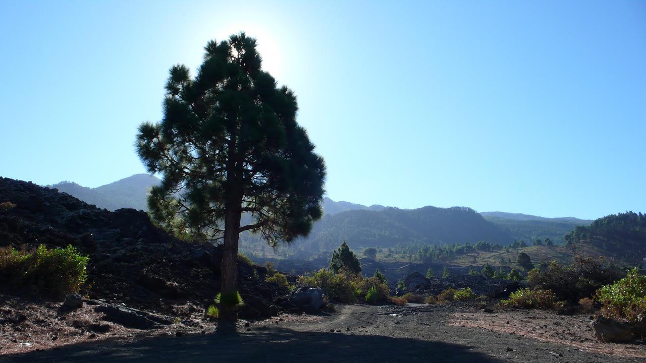 エル・パソ Casas Rurales Los Pajerosヴィラ エクステリア 写真